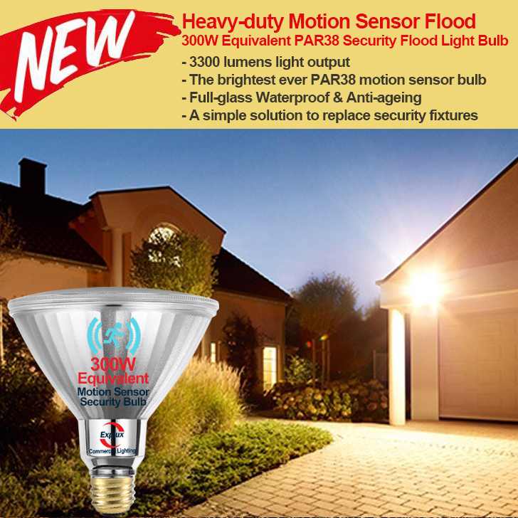 PAR38 250/300W Motion Sensor